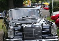 Foto Inge und Uwe Gerken (11)-a.jpeg